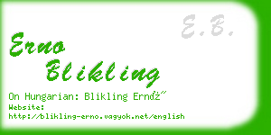 erno blikling business card